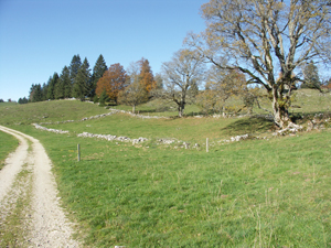 enclos murets pierre chalet massif jura