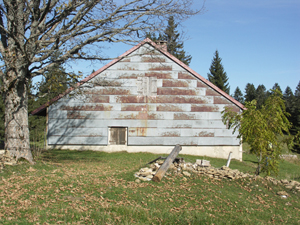 végétation abords chalet