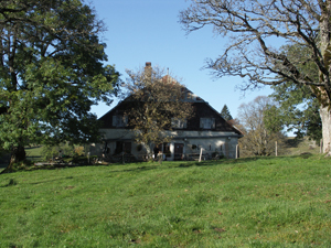 végétation abords chalet 