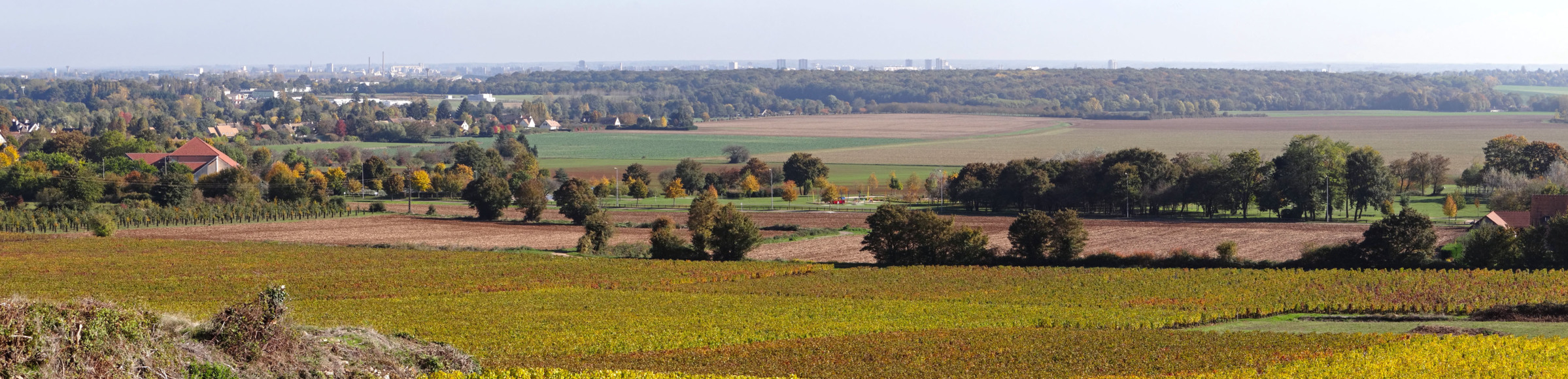 terrasses chalonnaises vers Givry (71) Bonneaud paysagiste Atlas 2016