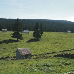 Bois d'Amont, Jura, juin 2007 caue39. Le chalet d'alpage. Les loges des Petits Plats - BOIS-D'AMONT (39220)
