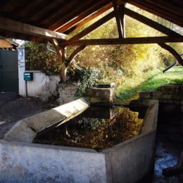 Le bassin en pierre est en forme de demi-décagone. La pierre de margelle est biseautée vers l'intérieur du bassin, qui est couvert par une belle charpente traditionnelle. 
La particularité de ce lavoir est de ne comporter aucune fontaine, puisqu'il est à la fois alimenté par un petit ruisseau qui coule directement dans le bassin et par la récupération de l'eau pluviale du toit.
Cette alimentation en eau explique la configuration de ce lavoir dont la partie postérieure est enterrée.
06/2017 F Leng phot. 01 caue39
 - BOISSIA (39130)