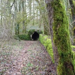 caborde pierres sèches photo c. saffrey 02 2018 caue39 - LA MARRE (39210)
