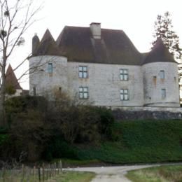 Château de Mutigney (39) - MUTIGNEY (39290)