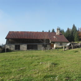 La Boivine, Risoux Mont d'Or, photo 10 2012 caue39 - ROCHEJEAN (25370)