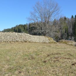 murger Tréchaumont caue39 mars 2017 - LAMOURA (39310)