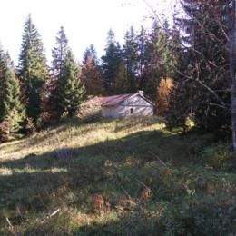 Bois d'Amont, Jura, oct 2006 caue39. Le chalet d'alpage : une loge - BOIS-D'AMONT (39220)