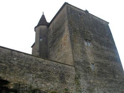 Château de Fondremand, Haute-Saône, caue70. - FONDREMAND (70190)