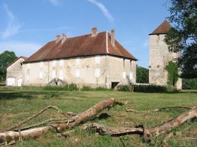 Château de Seveux (70) - SEVEUX (70130)