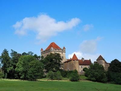 Château du Pin (39) - LE PIN (39210)