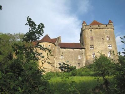 Château du Pin (39) - LE PIN (39210)