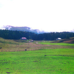 Bellecombe, Jura : Habitat dispersé caue39 2002 - BELLECOMBE (39310)