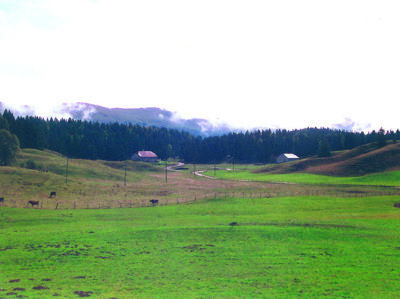 Bellecombe, Jura : Habitat dispersé caue39 2002 - BELLECOMBE (39310)