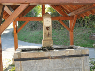 Fontaine couverte par une charpente en bois, sans murs.
Le fût de la fontaine en pierre est de section carrée, en forme d’obélisque
Le canon est orné d'un mascaron à tête de lion, il alimente un bassin rectangulaire en pierre.
Sur la face avant de la fontaine : "Montigny les Arsures capitale du Trousseau, eau potable à consommer avec modération."
06/2017 F Leng phot. 01 caue39 - MONTIGNY-LES-ARSURES (39600)