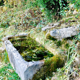 BOUZAILLES (Hameau, BONLIEU), oct 2009, F. Leng / CAUE39 : Bassin sensiblement rectangulaire en pierre, récupérant l'eau d'une source captée par l'intermédiaire d'une pierre creusée d'un canal - BONLIEU (39130)