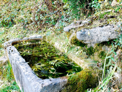 BOUZAILLES (Hameau, BONLIEU), oct 2009, F. Leng / CAUE39 : Bassin sensiblement rectangulaire en pierre, récupérant l'eau d'une source captée par l'intermédiaire d'une pierre creusée d'un canal - BONLIEU (39130)