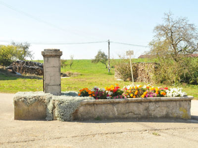 Barretaine, oct 2011 F. Leng / CAUE39 : Fontaine en pierre de section carrée, alimentant un bassin semi-ovale en pierre - BARRETAINE (39800)