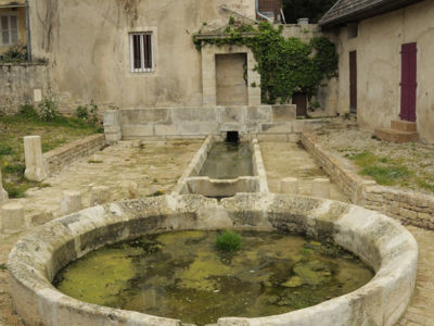 AUTHUME (39100), avril 2012 F. Leng / CAUE39 : Comme beaucoup d'autres lavoirs du secteur, une chambre de puisage protégée par un muret en façade domine un ensemble de 3 bassins en pierre successifs. Le premier est rectangulaire allongé, le second est carré, le dernier est circulaire. La périphérie du bassin de lavoir est protégée par des plots en pierre. - AUTHUME (39100)