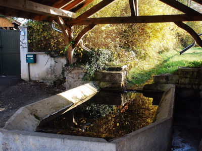 Le bassin en pierre est en forme de demi-décagone. La pierre de margelle est biseautée vers l'intérieur du bassin, qui est couvert par une belle charpente traditionnelle. 
La particularité de ce lavoir est de ne comporter aucune fontaine, puisqu'il est à la fois alimenté par un petit ruisseau qui coule directement dans le bassin et par la récupération de l'eau pluviale du toit.
Cette alimentation en eau explique la configuration de ce lavoir dont la partie postérieure est enterrée.
06/2017 F Leng phot. 01 caue39
 - BOISSIA (39130)