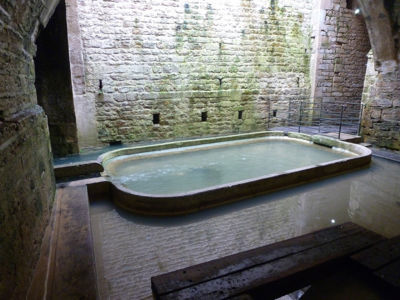 La Fontaine des lépreux 
Cette fontaine est située dans une galerie sous la place du Prélot, d'où elle est visible par un puits de lumière. Connue dès 1274, elle est aménagée en lavoir au XVIIIème siècle. Elle comporte un bassin ovale.
Le bassin unique, en pierre, est de forme rectangulaire avec des angles arrondis. Il est alimenté par un cours d'eau canalisé. Ce lavoir s'apparente également aux lavoirs tunnels. On accédait à l'aire de lavage par un escalier. La zone où se tenaient les lavandières est aménagée avec un banc en pierre et un petit pont, qui permettait de passer d'un côté du bassin à l'autre, en enjambant le petit cours d'eau.
Les margelles sont fines par rapport à la moyenne et elles ne sont pas particulièrement aménagées pour le lavage.
06/2017 F Leng phot. 82 caue39 - DOLE (39100)