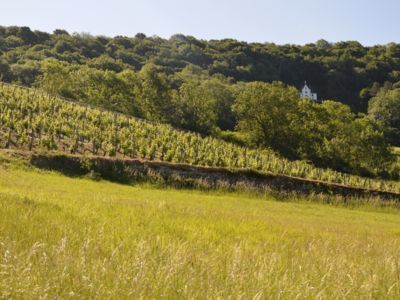 murets pierres sèches vignoble (39) caue39 mai 2022 - LAVIGNY (39210)