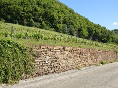 murets pierres seches vignoble (39) caue39 mai 2022 - MENETRU-LE-VIGNOBLE (39210)