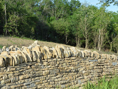 muret pierres sèches vignoble caue39 05 2022 - MONTAIGU (39570)