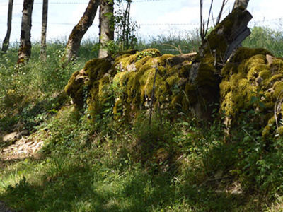 mur pierres sèches sur les plateaux caue39 mai 2022 - CHATEAU-CHALON (39210)