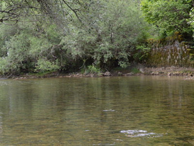 mur soutènement sur l'Ain caue39 mai 2022 - BOURG-DE-SIROD (39300)