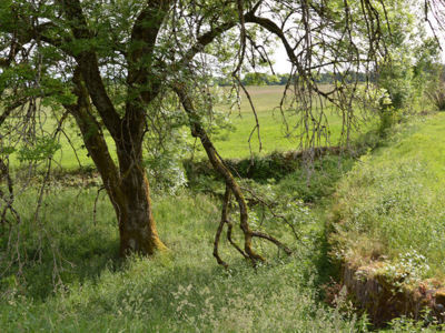 fosse soutènement pierres sèches caue39 mai 2022 - LA MARRE (39210)