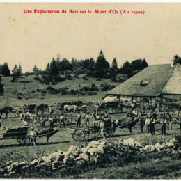 Chalet La Roulette, carte postale ancienne - ROCHEJEAN (25370)