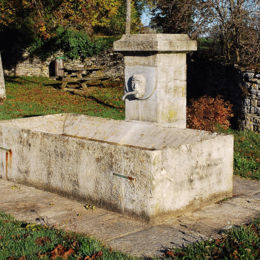 VEVY (39) oct 2009 F. Leng phot. / CAUE39 : Fontaine de section carrée en pierre, avec chapeau, d'où sort un canon simple sortant d’un mascaron en granit représentant un visage (récent avec mention 2003). Le petit bassin rectangulaire en pierre qui servait de lavoir semble beaucoup plus ancien, les pierres de rive sont biseautées vers l'intérieur.
Le bassin a été déplacé, il était situé à une dizaine de mètres contre la façade en pierre d’un réservoir semi-enterré qui a été partiellement remblayé. On voit encore la partie supérieure du volant qui actionnait une pompe. Le lavoir était alors accessible par un plan incliné
 - VEVY (39570)